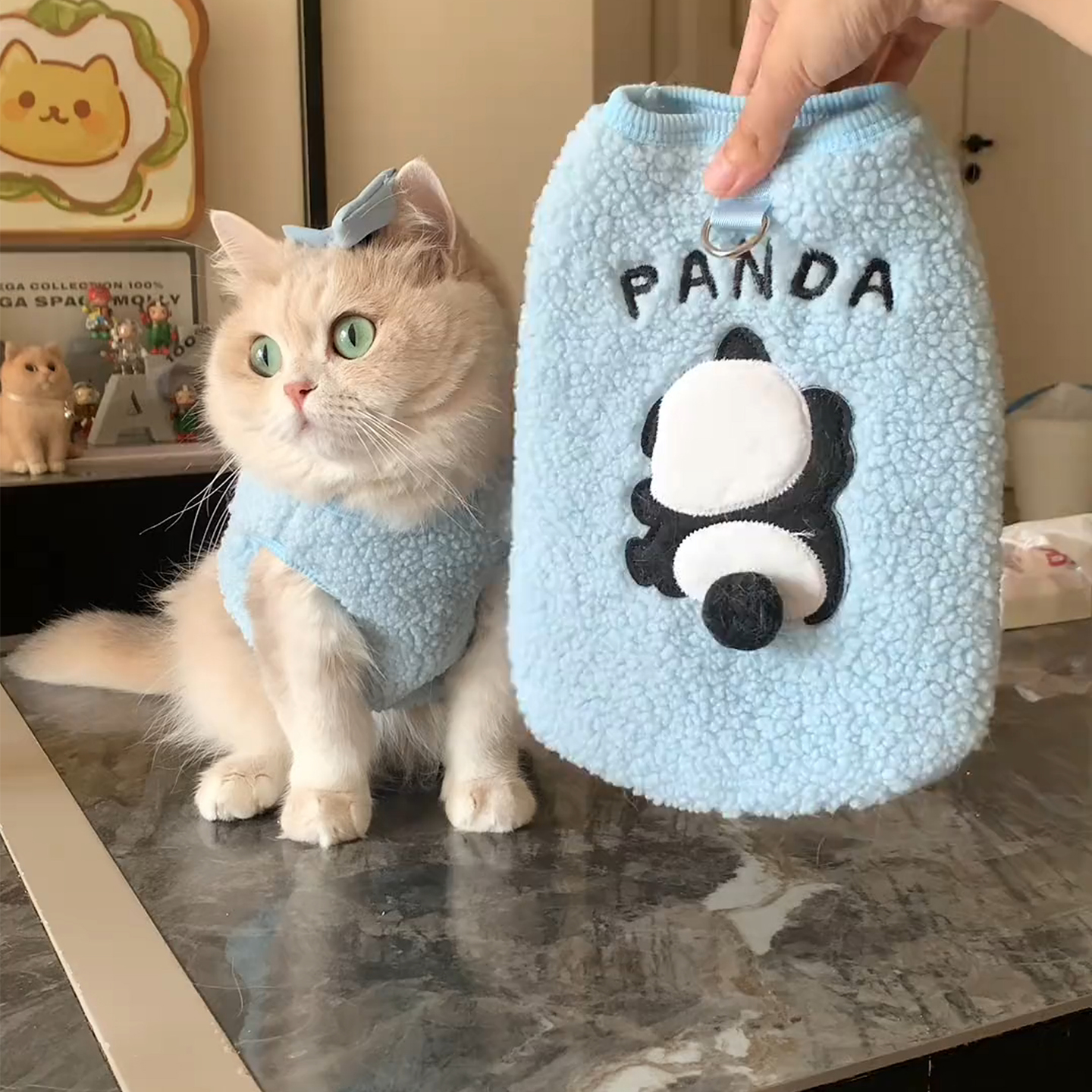 【萌宠OOTD】猫咪衣服秋冬马甲