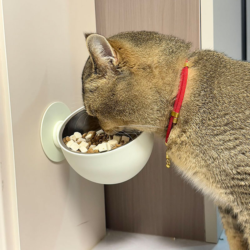 【可以上墙的猫碗】悬挂式猫食盆