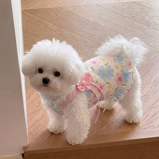 狗狗衣服小型犬比熊泰迪小狗裙子血祭薄款防掉毛猫咪背心2026新款