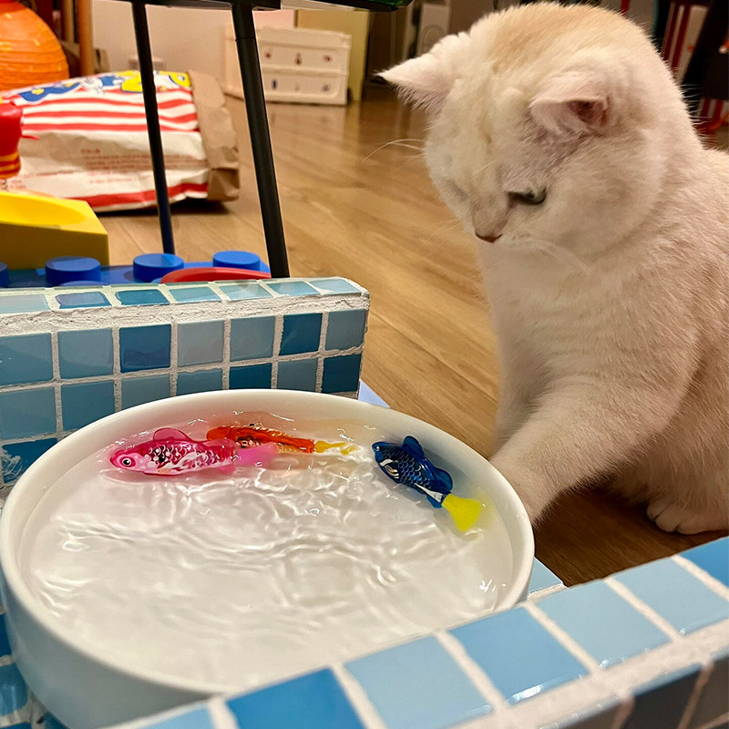 电子小鱼猫咪玩具自嗨解闷丰容玩具虎斑布偶金渐层逗猫棒宠物用品,宠物/宠物食品及用品,逗猫棒,淘宝优惠券,粉丝福利购,淘宝优惠卷