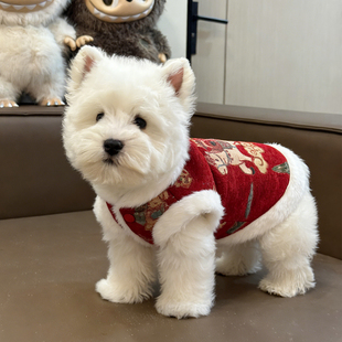 狗狗喜庆衣服猫咪新年拜年服冬天加绒国风棉衣小型犬马甲泰迪比熊