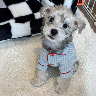 格纹狗狗睡衣家居服小型犬比熊泰迪雪纳瑞猫猫咪衣服防掉毛薄款