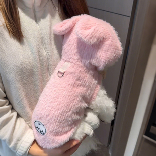 狗狗衣服冬装比熊泰迪猫衣服德文阿比西尼亚猫两脚衣睡衣2025新款