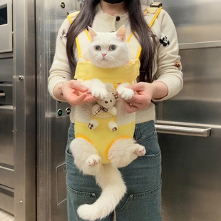 猫咪外出胸前包春夏出游可爱卡通背包遛狗神器宠物背兜小型犬比熊