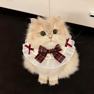 宠物蝴蝶结猫咪狗狗口水巾装饰品围脖围兜三角巾长毛可爱拍照神器
