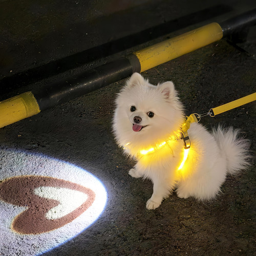夜间遛狗神器！发光胸背带！
