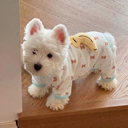 猫咪狗狗居家服，软糯亲肤超好穿