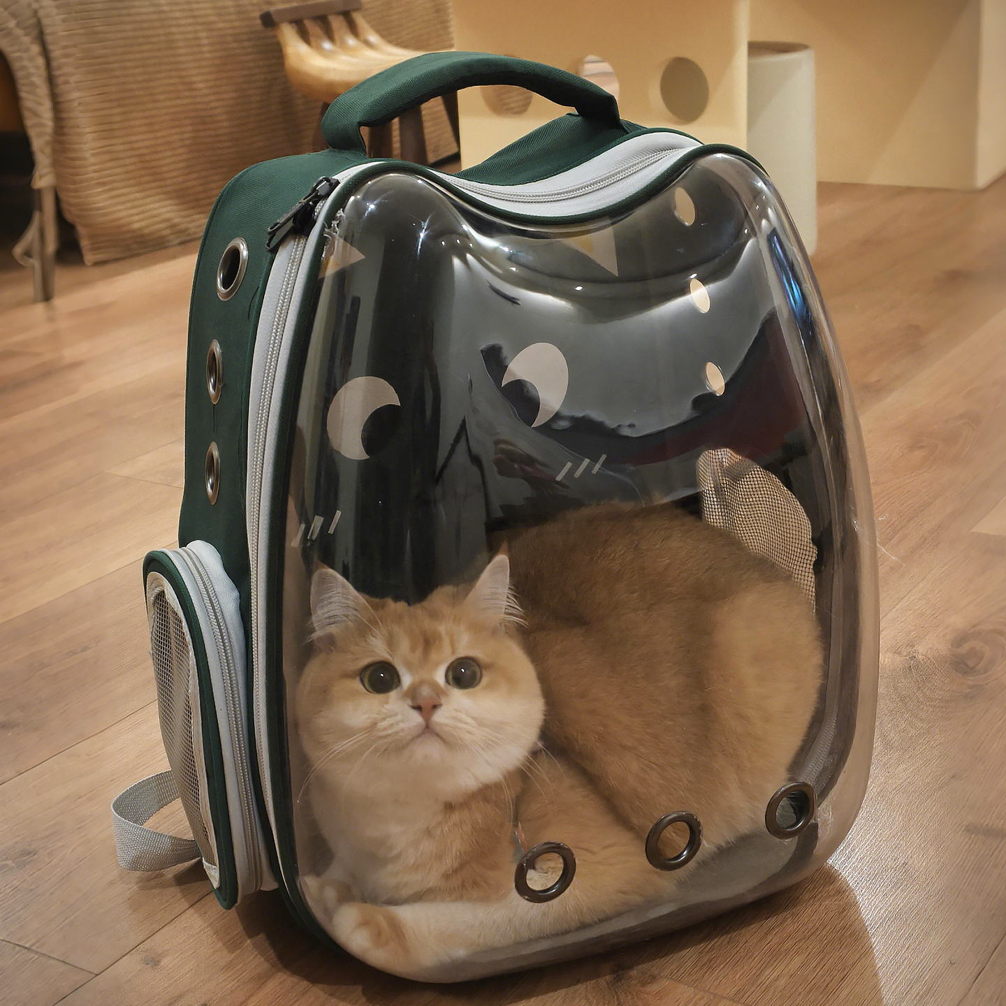 猫包外出便携太空舱透气猫咪背包