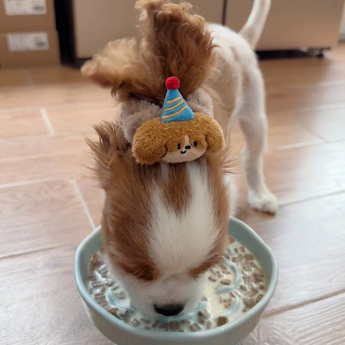 【长耳犬束耳带防脏神器】