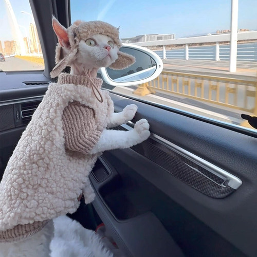 【萌宠OOTD】德文猫咪衣衣服马甲