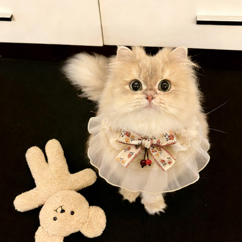 【精致养宠】可爱猫咪狗狗口水巾