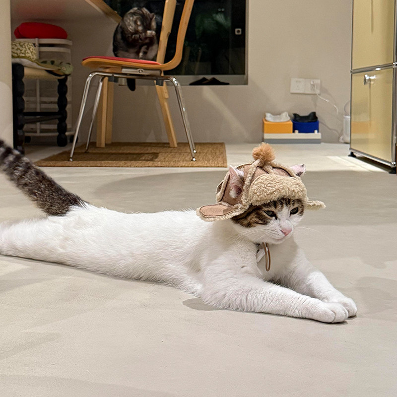 可爱猫咪帽子加绒露耳朵头套冬天狗狗翻耳帽保暖头饰羊羔绒飞机帽