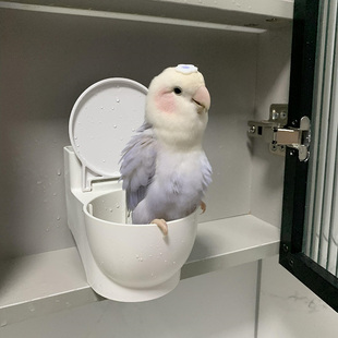 鹦鹉马桶站杆免打孔壁挂式鸟架厕所小鸡玄风牡丹可拆卸冲洗便池