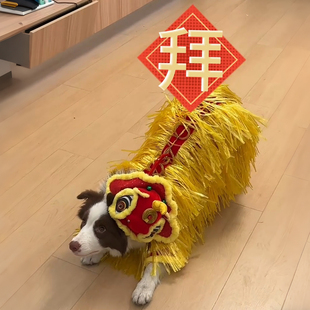 宠物新年舞狮衣服猫咪狗狗醒狮装扮冬装比熊边牧法斗喜庆拜年服