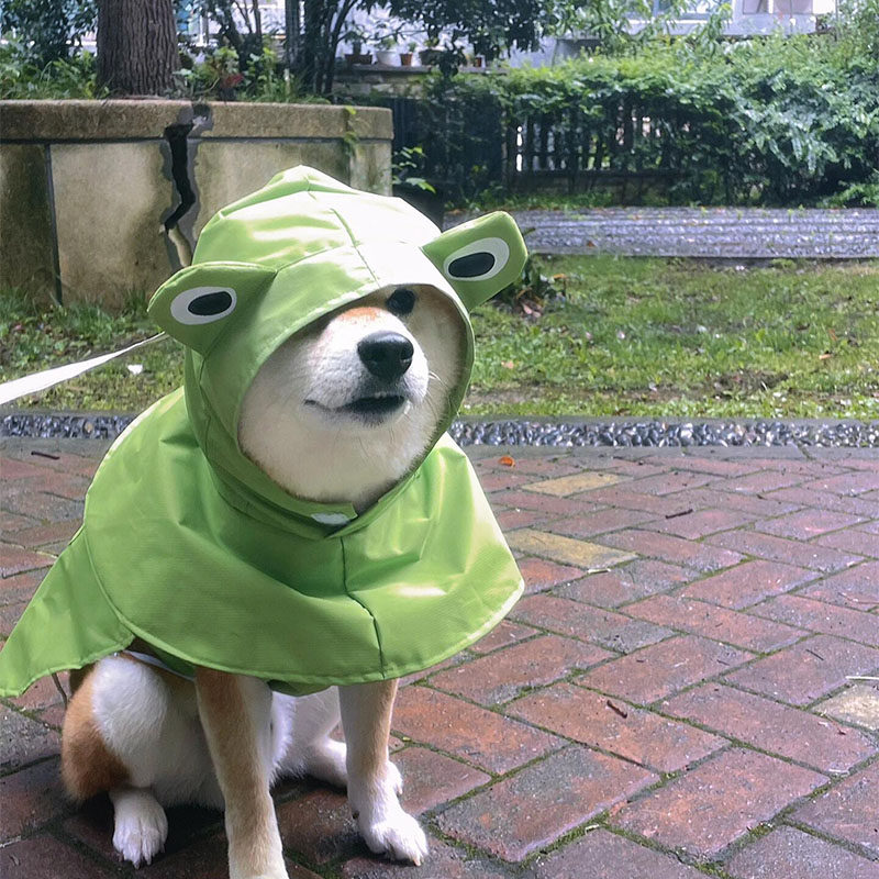 青蛙狗狗外出专用雨衣斗篷防脏
