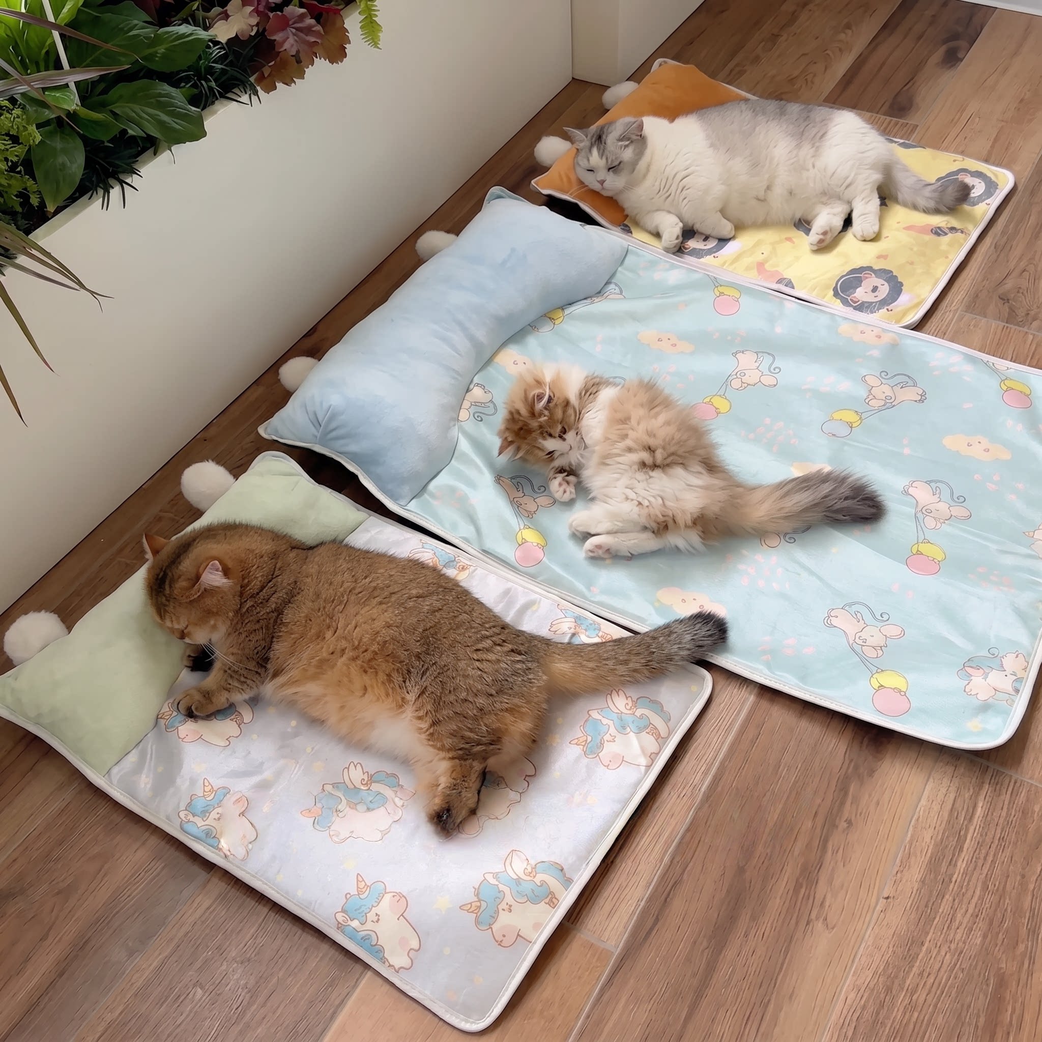 猫咪凉席宠物冰垫夏天降温猫窝图片