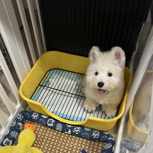 狗厕所狗狗定点上厕所神器中小型犬西高地专用狗尿盆狗砂盆防踩屎