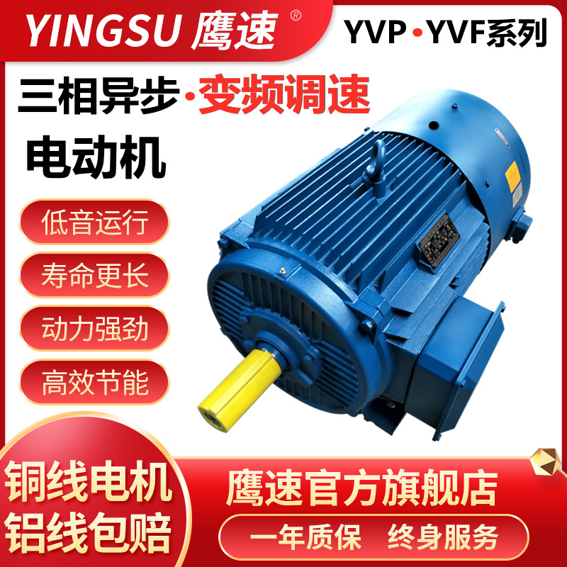 厂家直供三相异步变频调速电动机YVP YVF315S-2级110kw马达