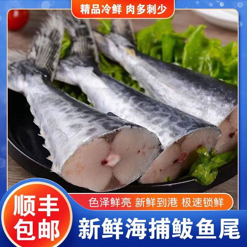 【净鱼发货】野生鲅鱼尾新鲜鲅鱼大号速冻1斤4条实惠海产品海鱼,水产肉类/新鲜蔬果/熟食,鲈鱼,淘宝优惠券,粉丝福利购,淘宝优惠卷