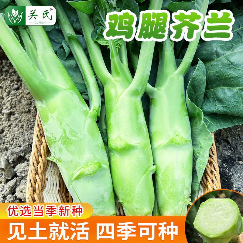 芥蓝种籽中粗鸡腿芥兰夏秋耐热高产农家菜园种植蔬菜种子菜种籽_虎窝淘