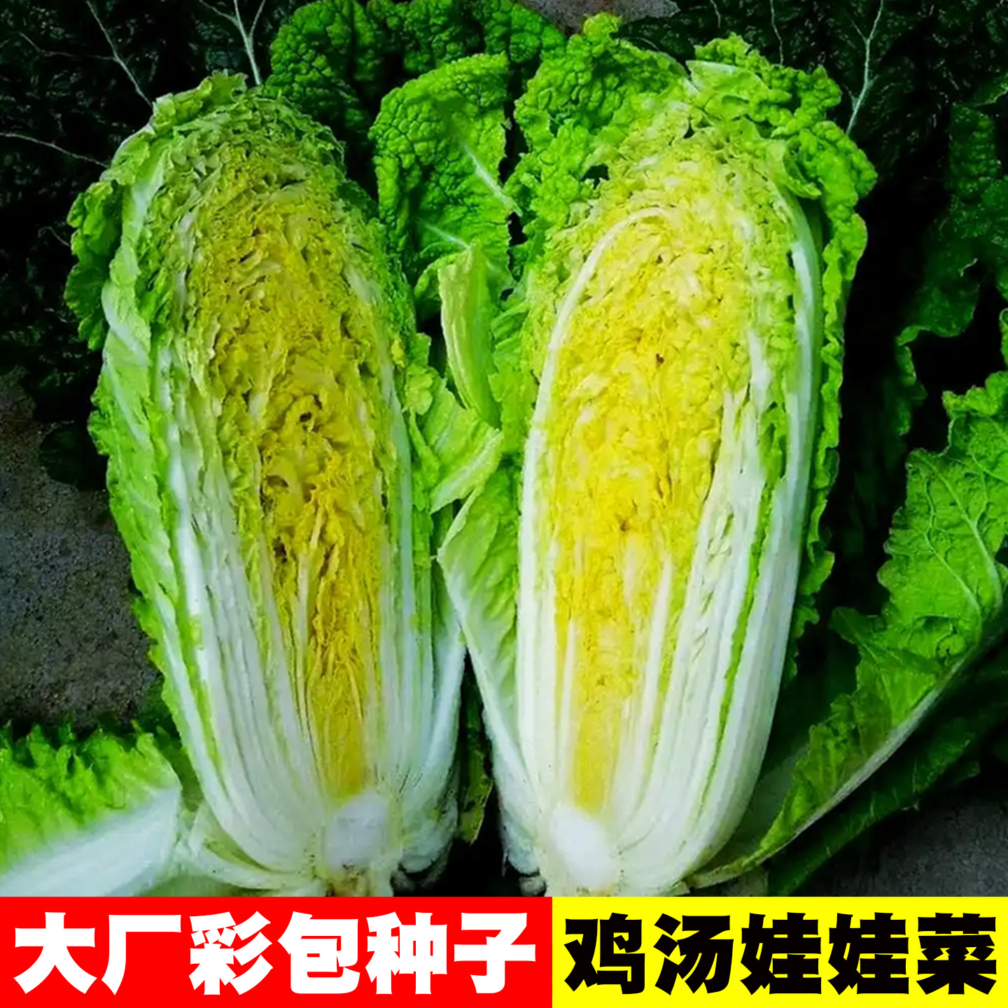 [可做泡菜]鸡汤娃娃菜种子