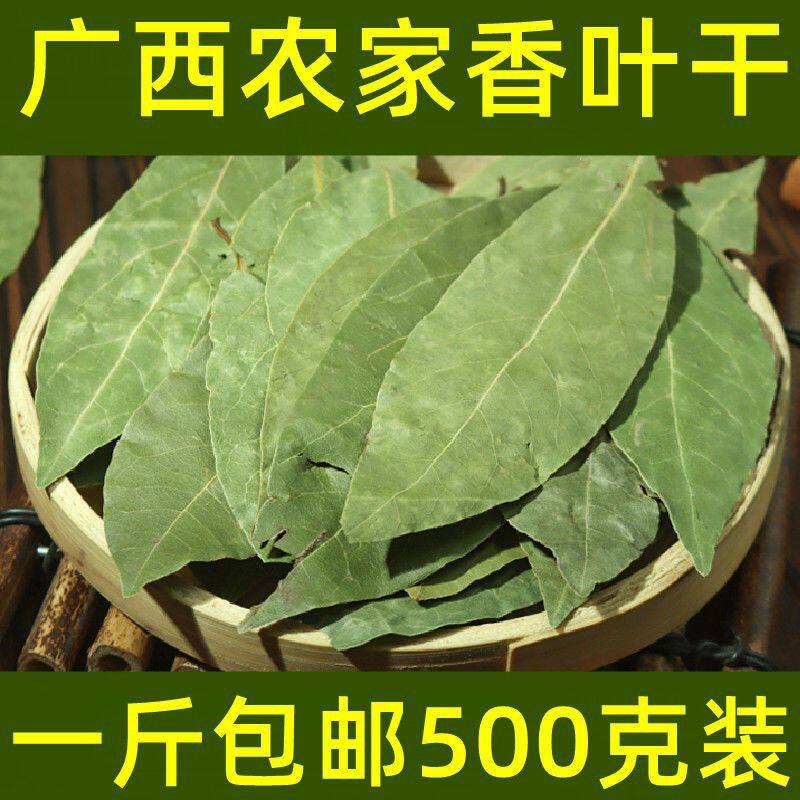 新货无硫广西香叶片500g克商用调料大料月桂叶非特级味道浓香樟叶