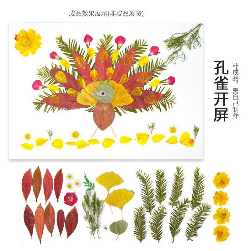 树叶粘贴画手工创意儿童益智