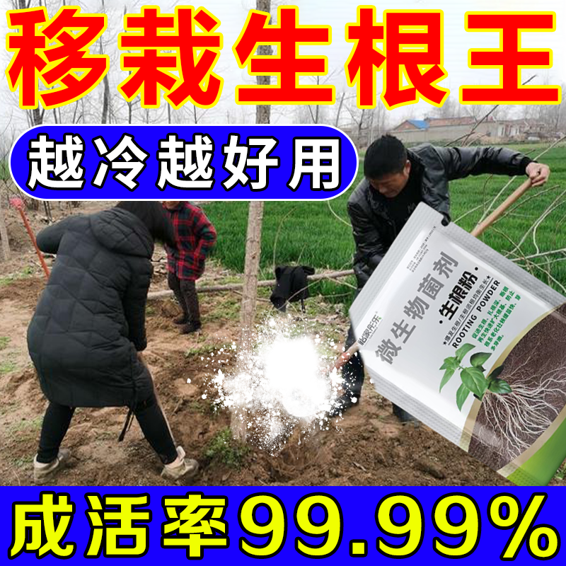 强力生根粉植物通用扦插专用树木移栽果树专用花卉多肉壮苗生根剂