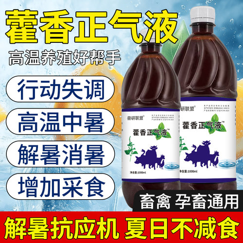 藿香正气液解暑降温口服液抗高温