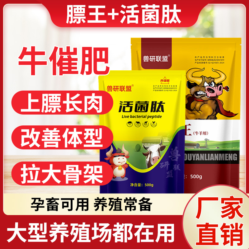 膘王活菌肽兽用牛羊催肥增重快速拉大骨架增肥开胃饲料添加剂预混