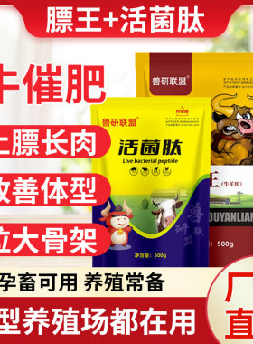 膘王活菌肽兽用牛羊催肥增重快速拉大骨架增肥开胃饲料添加剂预混