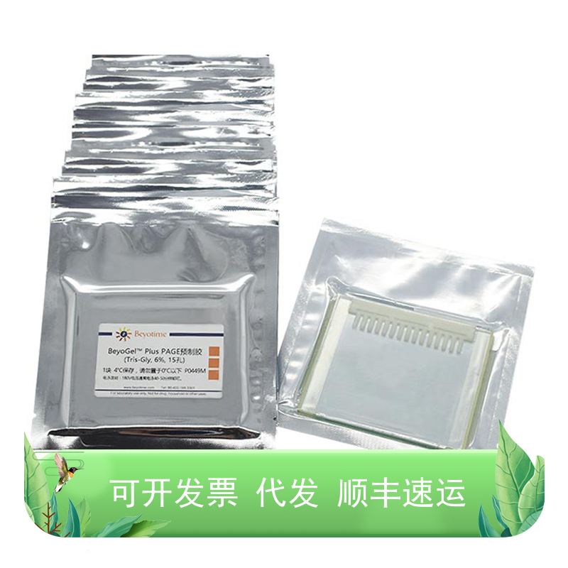 BeyoGel™ Plus PAGE预制胶(Tris-Gly, 6%, 15孔)