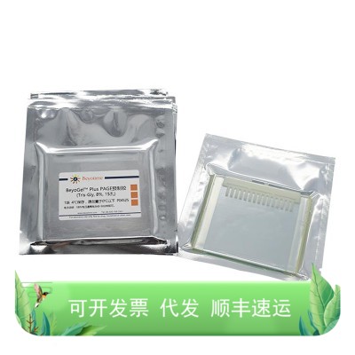 BeyoGel™ Plus PAGE预制胶(Tris-Gly, 8%, 15孔)