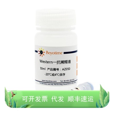 Phospho-STAT3 (Tyr705) Rabbit Polyclonal Antibody