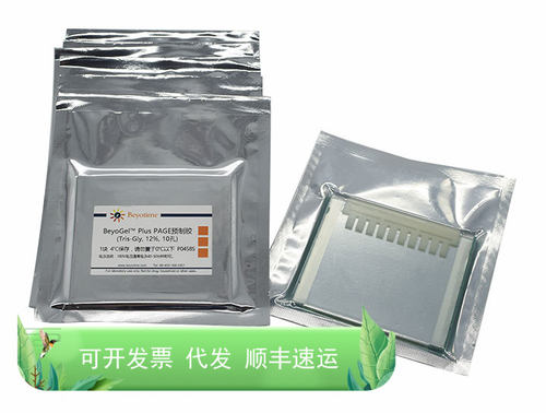 BeyoGel™ Plus PAGE预制胶(Tris-Gly, 12%, 10孔) 生物