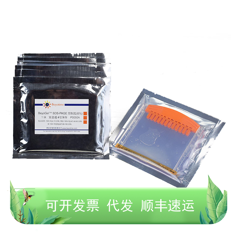 BeyoGel™ SDS-PAGE预制胶 Tris-Gly 6% 8% 10%  12%  15%