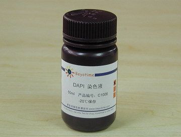 DAPI染色液 C1006  Beyotime