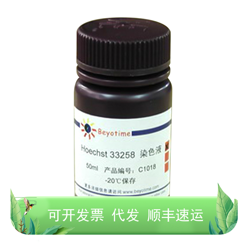 DAPI染色液