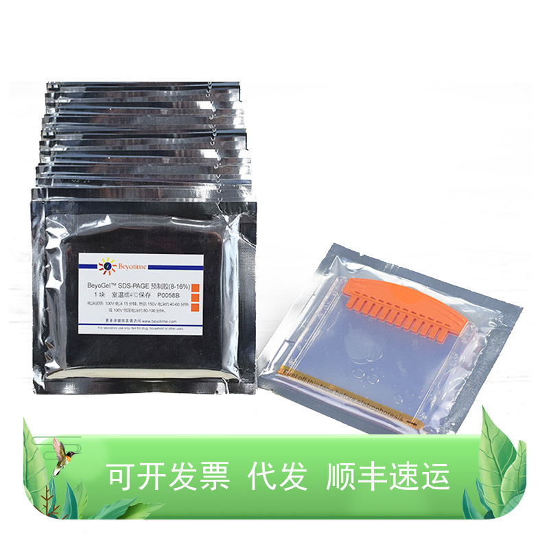 BeyoGel™ SDS-PAGE预制胶(Tris-Gly, 8-16%, 12孔)