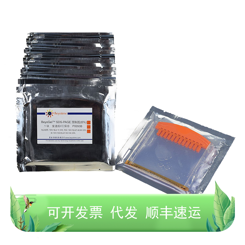 BeyoGel™ SDS-PAGE预制胶(Tris-Gly, 6%, 12孔)