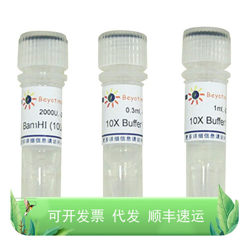 ApaI BamHI EcoRI HindIII核酸相关DNA操作内切酶与外切酶SmaI