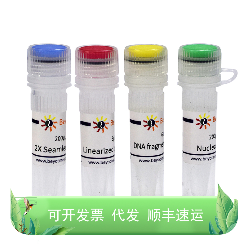 Seamless Cloning Kit (无缝克隆试剂盒)核酸相关DNA操作DNA连接