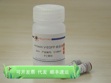 Annexin V-EGFP细胞凋亡检测试剂盒 C1067M 碧云天生物 Beyotime