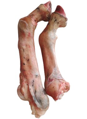 驴哥新鲜现杀正宗带皮马小腿正宗下肢黑蹄子新鲜蹄筋肉河北特产