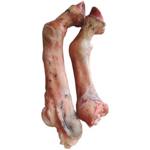 驴哥新鲜现杀正宗带皮小腿正宗下肢黑蹄子新鲜蹄筋肉河北特产