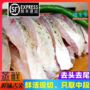 【顺丰包邮】新鲜草鱼块淡水鱼水库鱼片草鱼瓦块鱼鲜活现杀现发