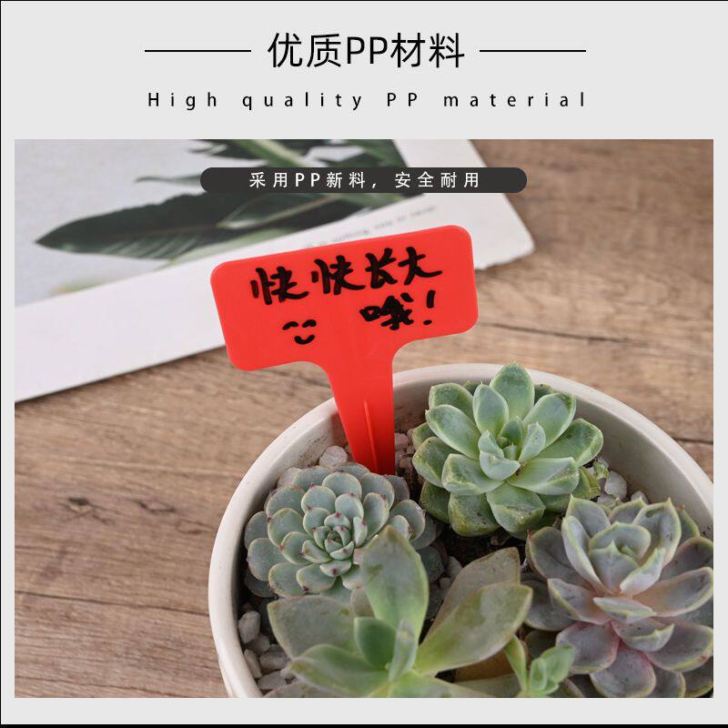 园艺标签牌多肉标签标识T型花卉标签植物名字记录防水塑料插地牌