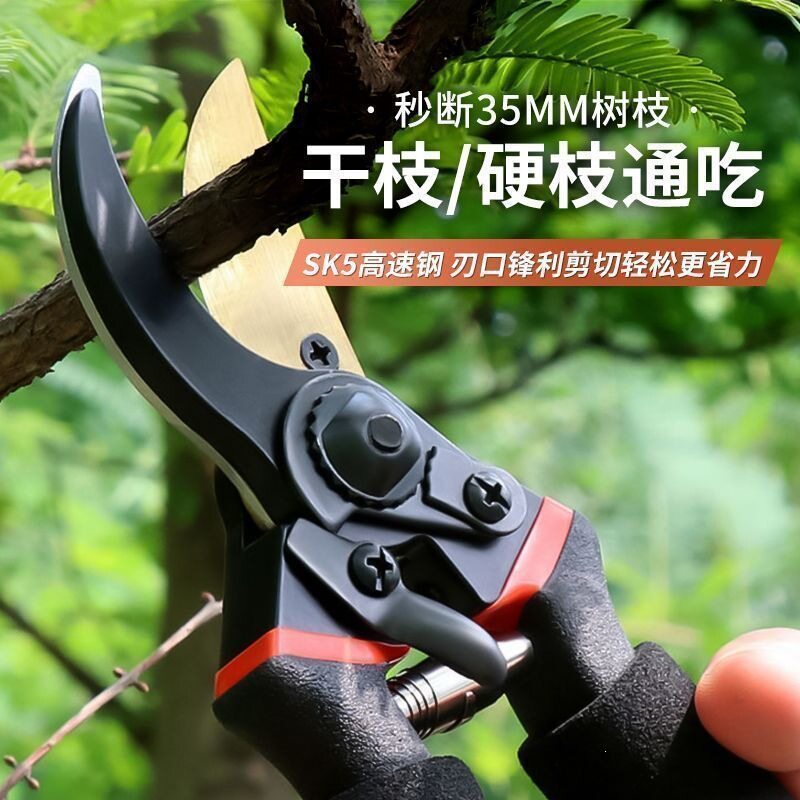 果树剪刀树枝修枝剪园艺剪修花工具修果树剪子园林修剪粗枝剪图片