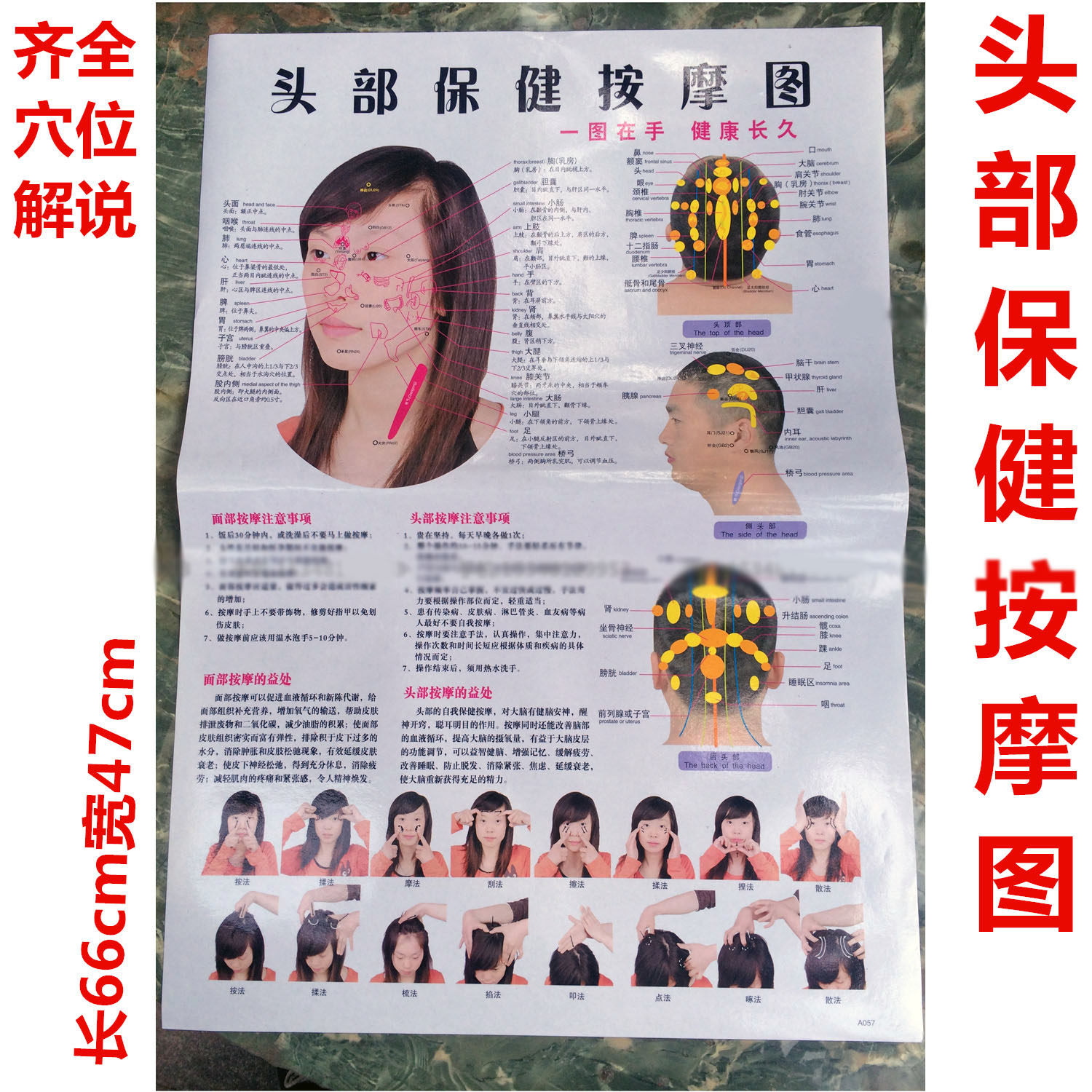 头部保健按摩挂图面部反射区按摩手法按摩穴位图脸部图经络示意图