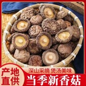 批发价 香菇干货无干燥剂肉厚无根干香菇新货菌菇蘑菇香菇干